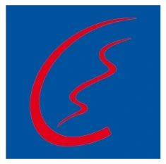 Responsable Informatique Guinée